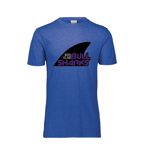 [FTSCUBRY-YS-LOGO1] Decker Youth Tri-Blend T-Shirt - Short Sleeve (Youth S, Royal, Logo 1)